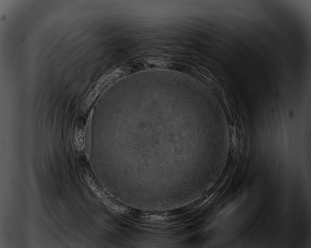 X0000051880285200507020038