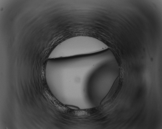 X0000051880287200507020038