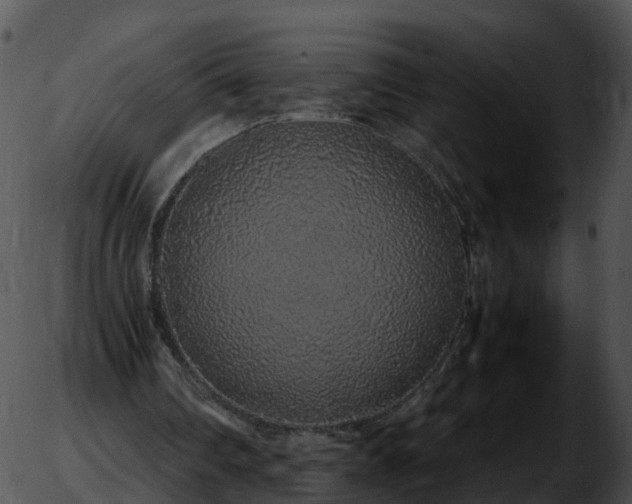 X0000051880290200507020038