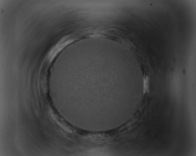 X0000051880291200507020038