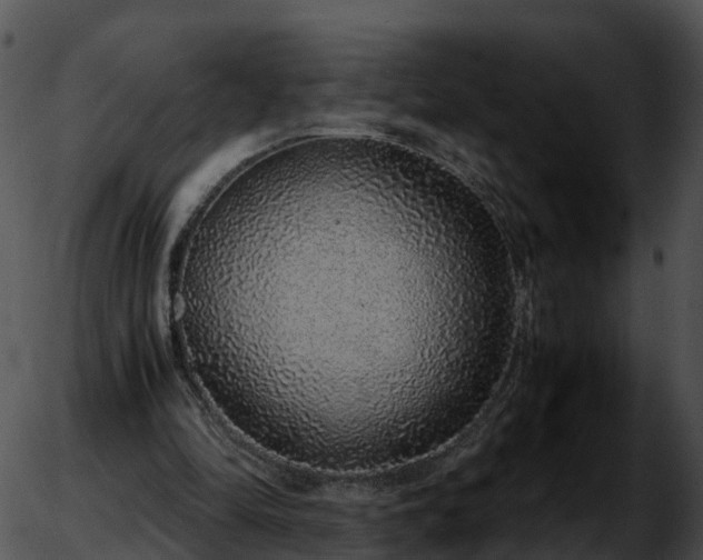 X0000051880294200507020038
