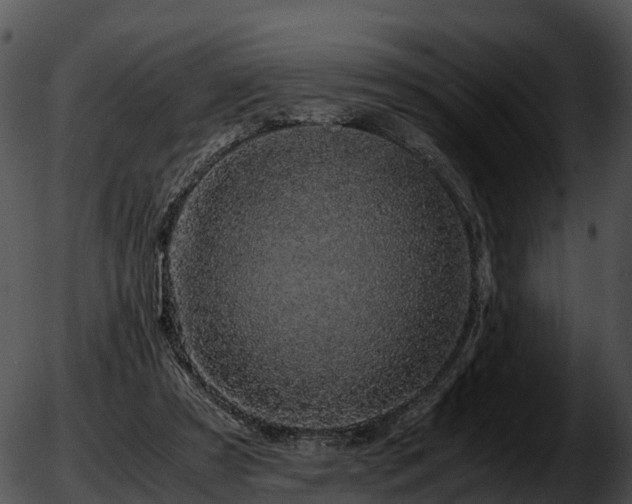 X0000051880305200507020037