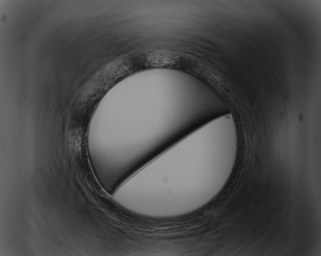 X0000051880315200507020037