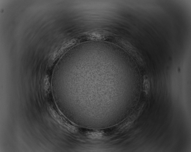 X0000051880318200507020037