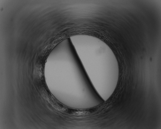 X0000051880323200507020037