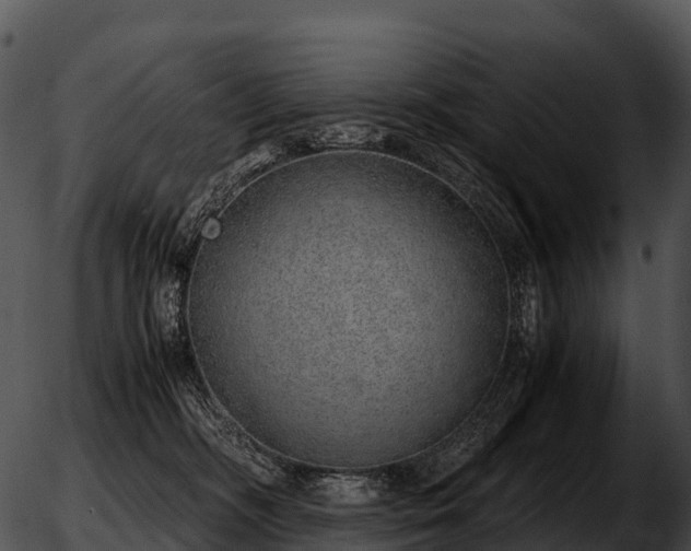 X0000051880326200507020037