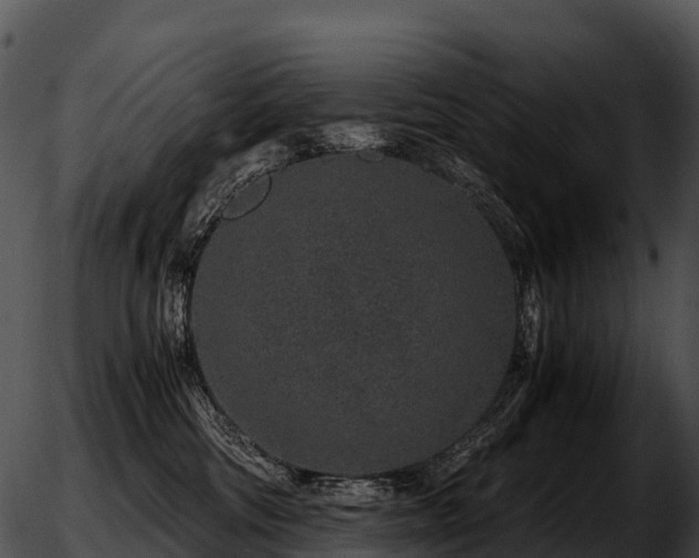 X0000051880330200507020037