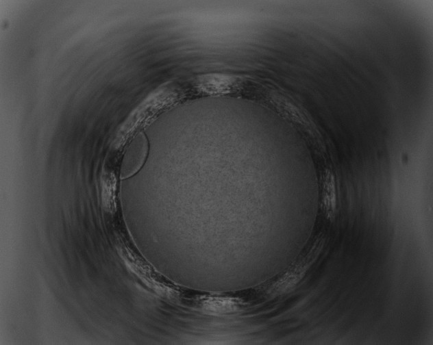 X0000051880332200507020037