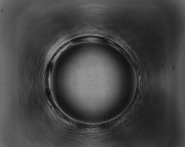X0000051880344200507020036