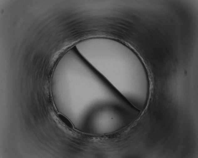 X0000051880345200507020036