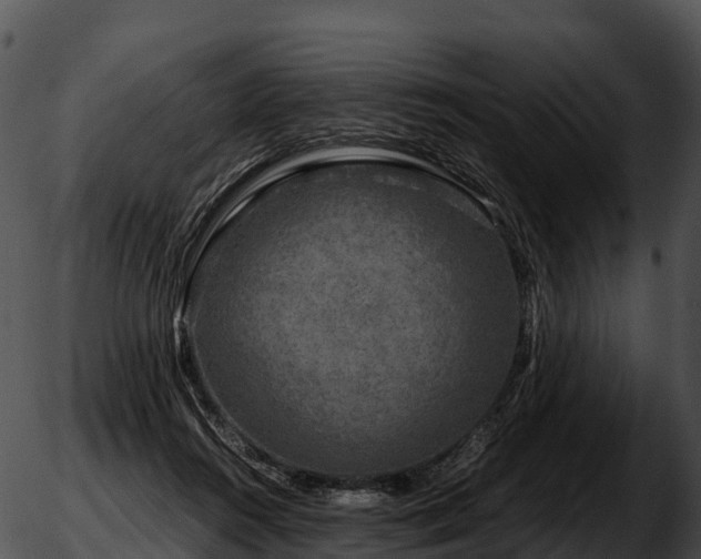 X0000051880360200507020036