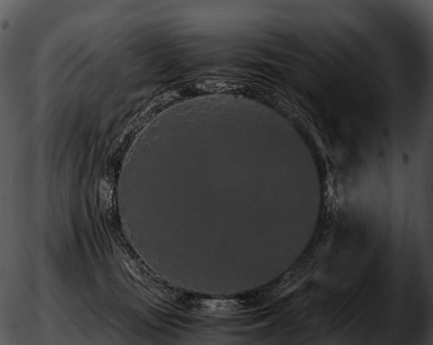 X0000051880371200507020037