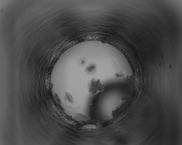 X0000051880381200507020037
