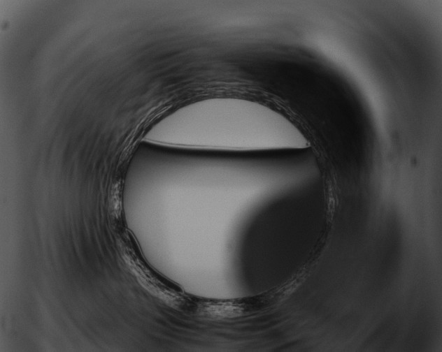 X0000051880383200507020037