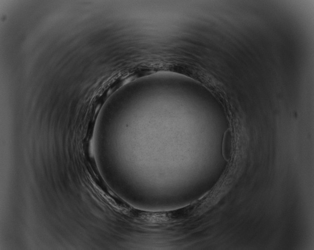X0000051880384200507020037