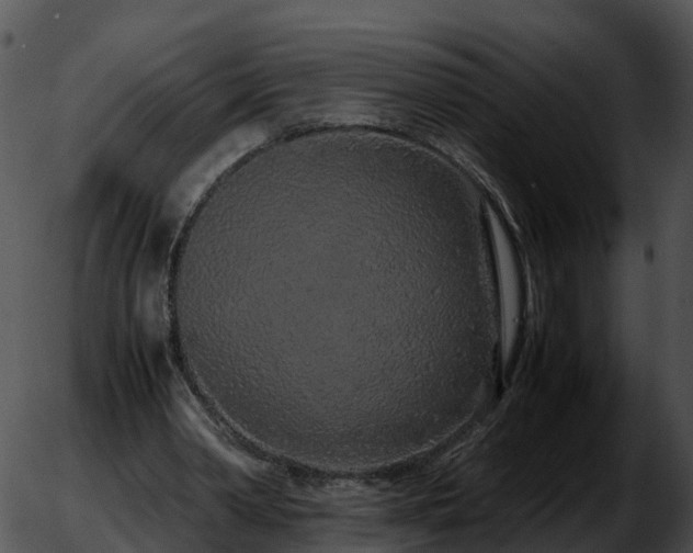 X0000051880390200507020036