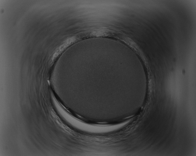 X0000051880393200507020036