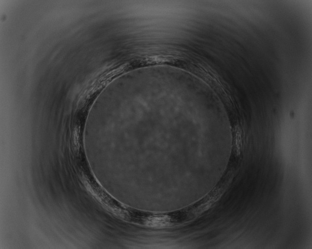 X0000051880410200507020036