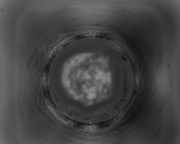 X0000051880411200507020036