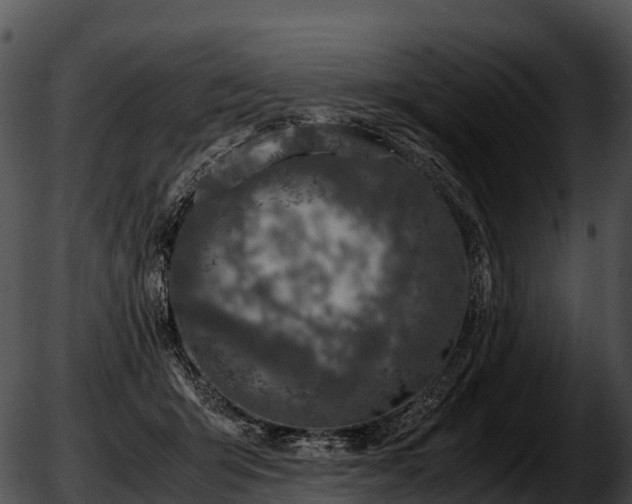 X0000051880415200507020036