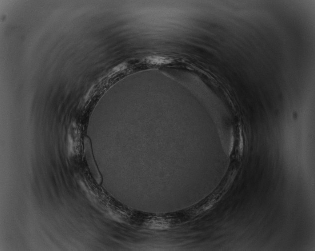 X0000051880416200507020036