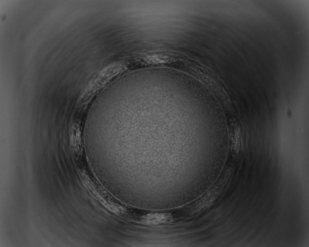 X0000051880418200507020036