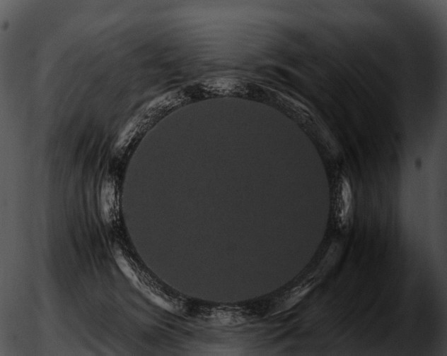 X0000051880420200507020035