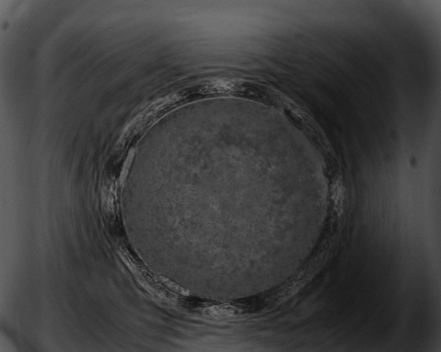 X0000051880423200507020035