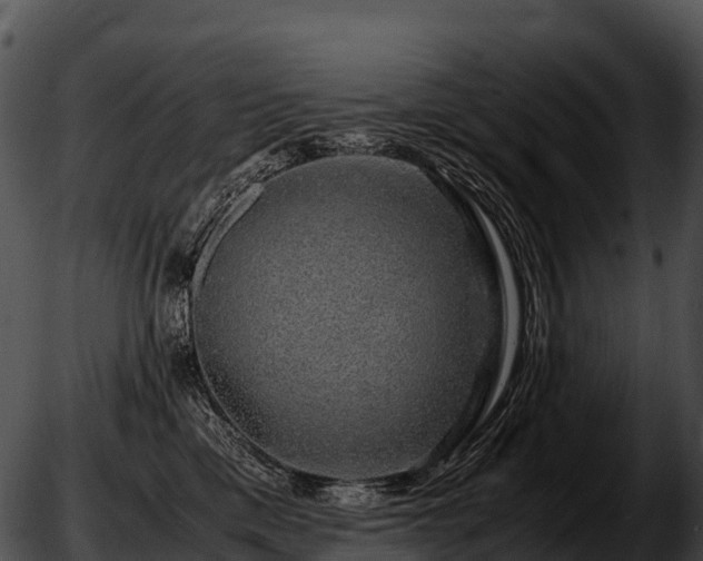 X0000051880425200507020035