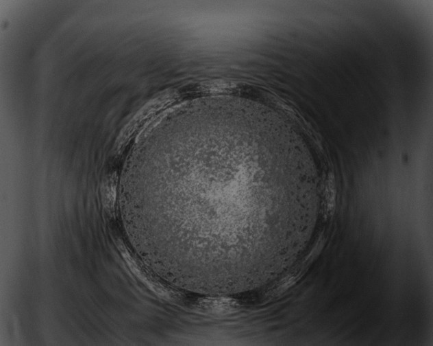X0000051880427200507020035