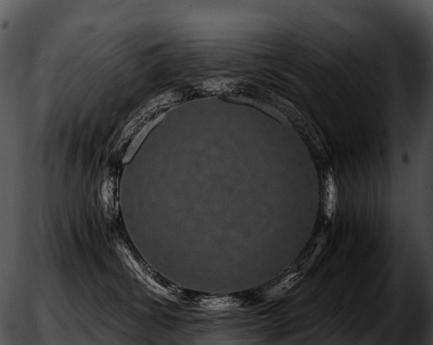 X0000051880428200507020035