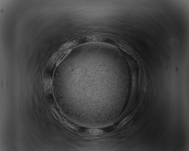 X0000051880429200507020035