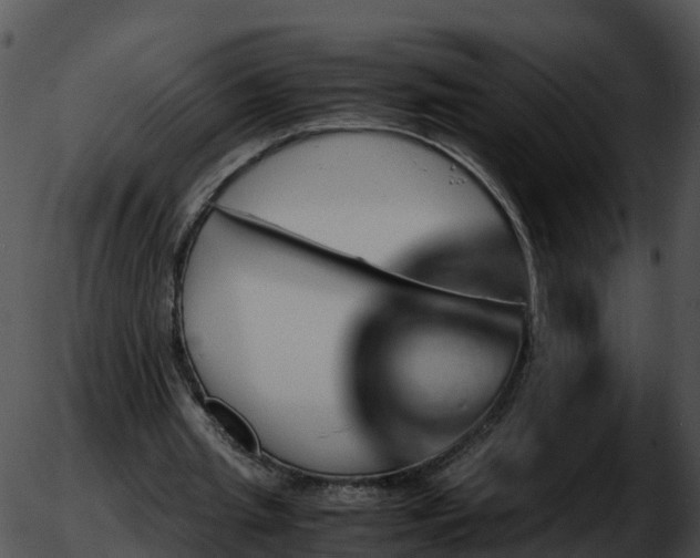 X0000051880437200507020035