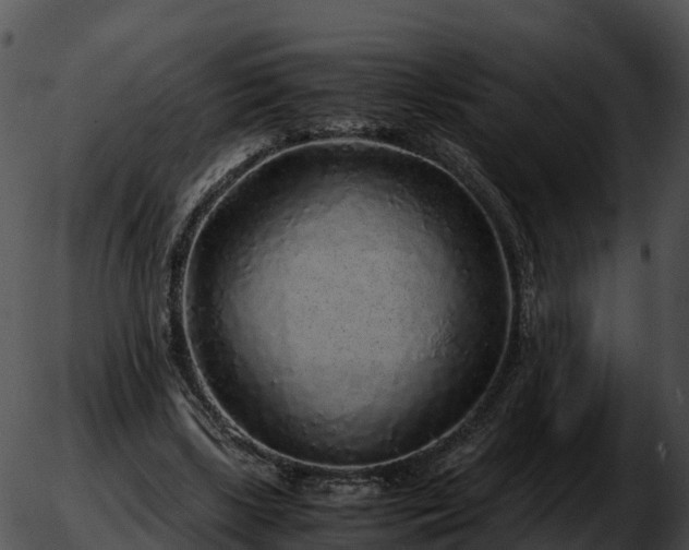 X0000051880443200507020035
