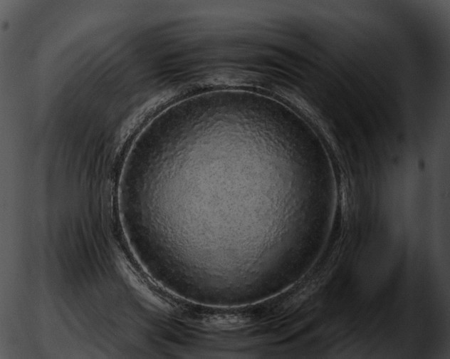 X0000051880445200507020035