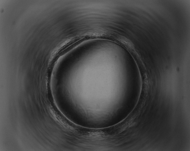 X0000051880446200507020035