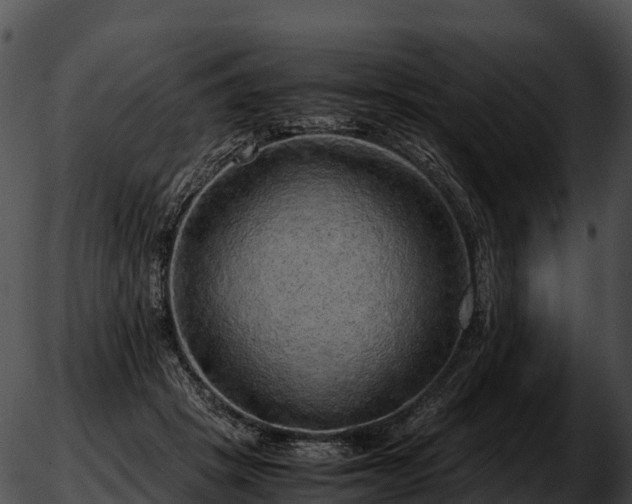 X0000051880457200507020035