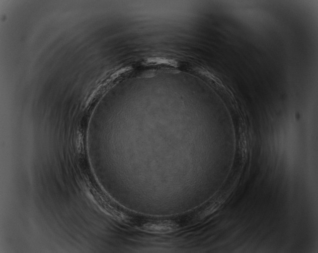 X0000051880459200507020035