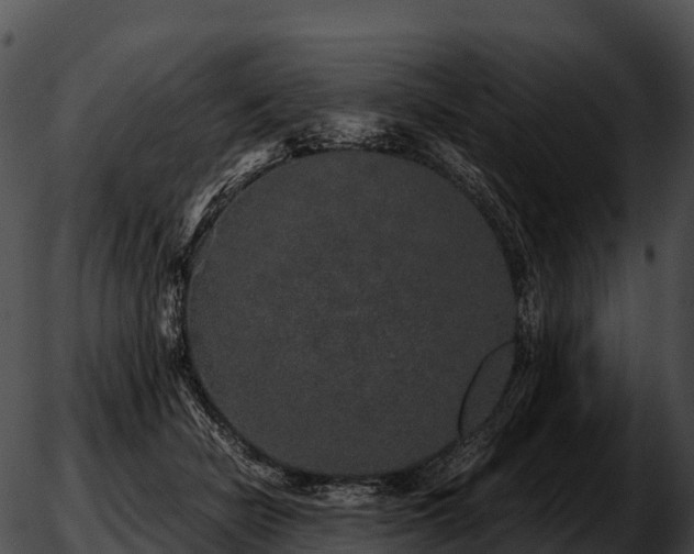 X0000051880462200507020035