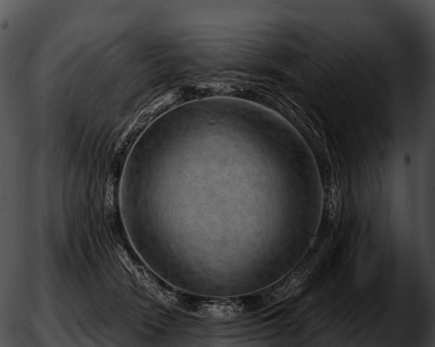 X0000051880466200507020035