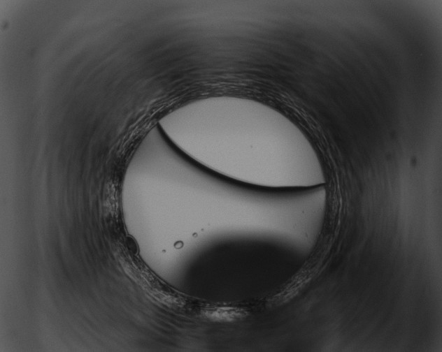 X0000051880467200507020035