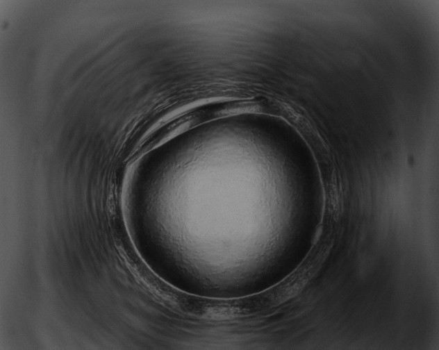 X0000051880470200507020035