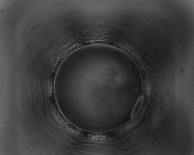 X0000051880471200507020035