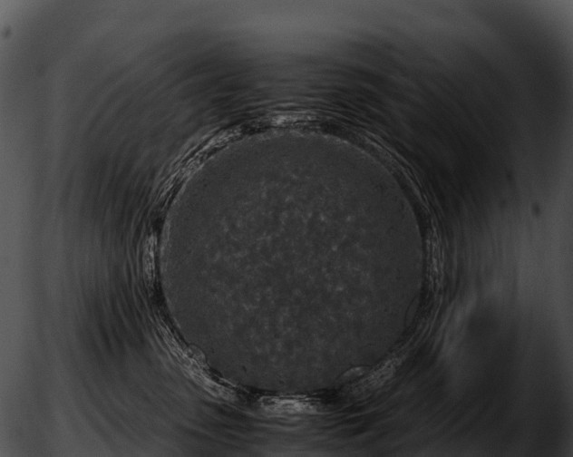 X0000051880475200507020035