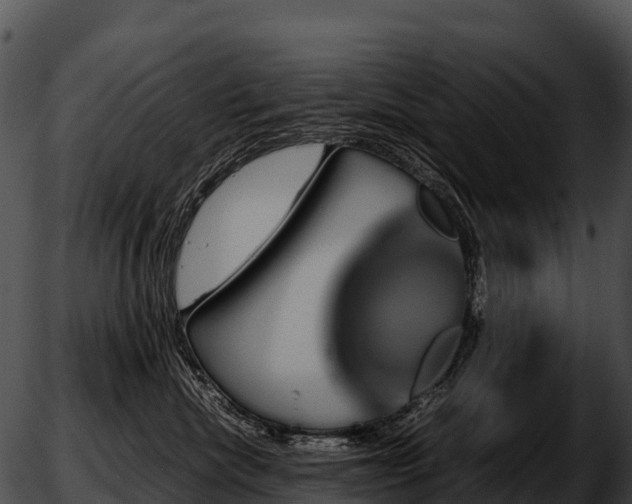 X0000051880476200507020035