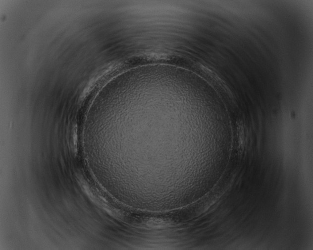 X0000051880494200507020034