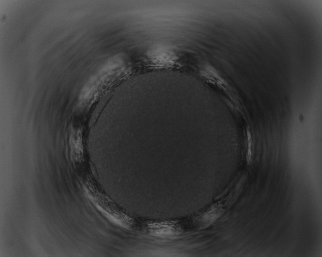 X0000051880516200507020034