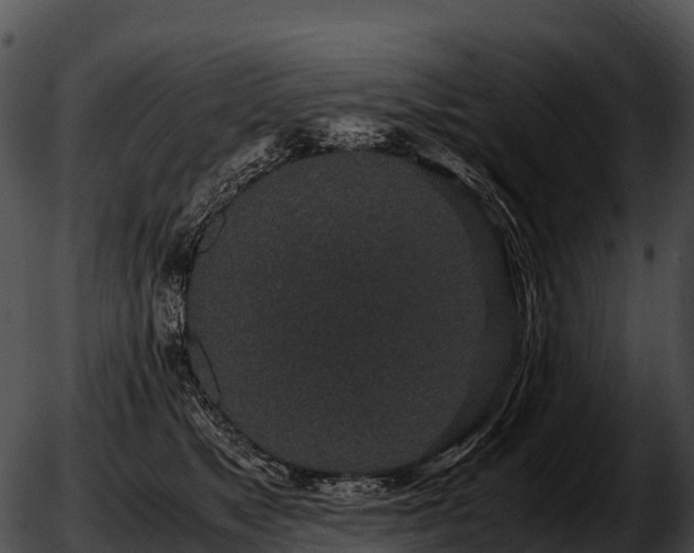 X0000051880517200507020034