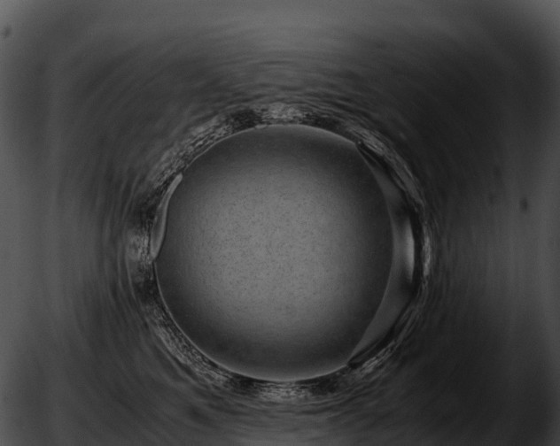 X0000051880521200507020034