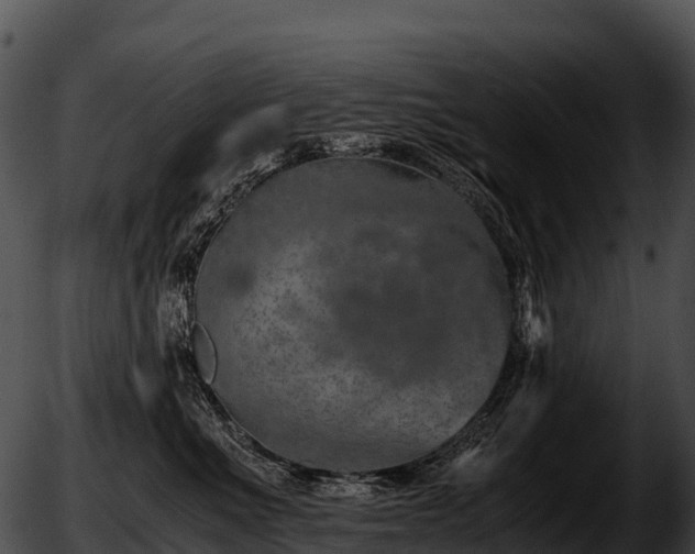 X0000051880523200507020034